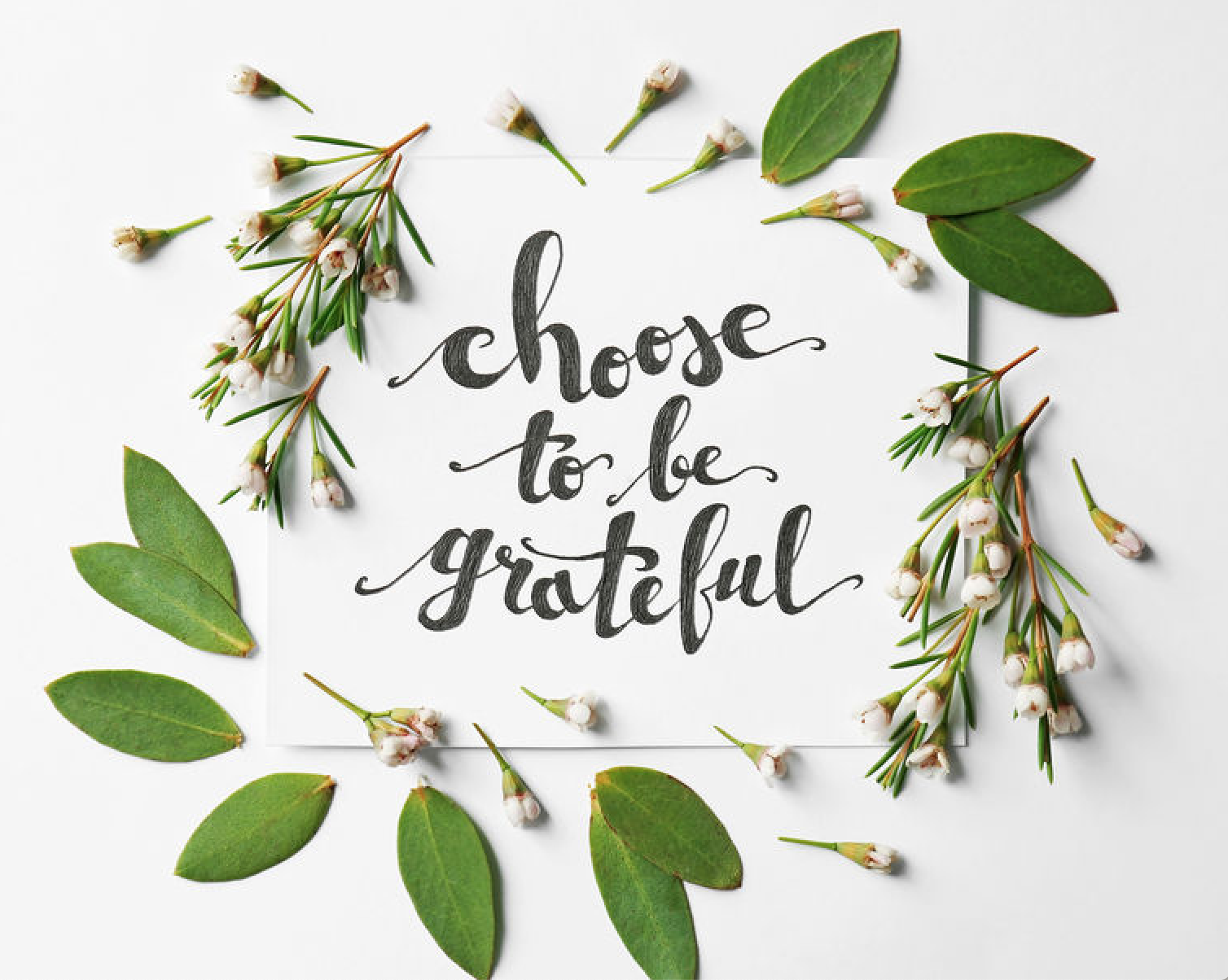 Grateful – Today I Choose to be Grateful